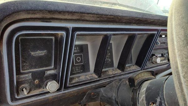 1978-1979 Ford F150 Trim Bezel Around Speedometer Oem Dash Surround Panel — photo 4