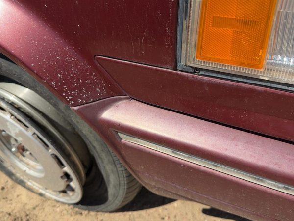 1985-1988 Nissan Maxima Passenger Right Moulding From Fender Oem Trim Strip Red — photo 8