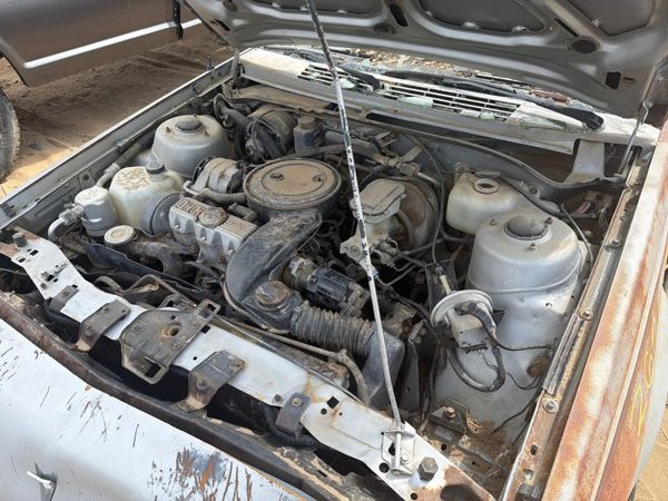 1984 Pontiac Sunbird — vehicle photo 2