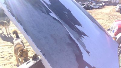 1994 Chevrolet Caprice Hood White