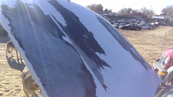 1994 Chevrolet Caprice Hood White — photo 3