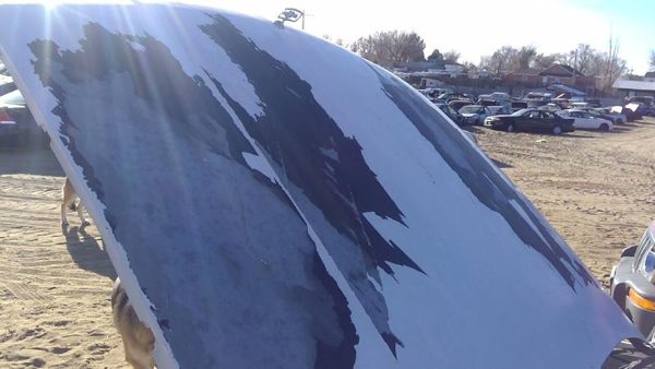 1994 Chevrolet Caprice Hood White — photo 4