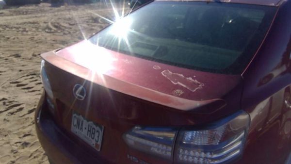 2010 Lexus HS250h Trunk/decklid/hatch/tailgate Red 3R1 — photo 10