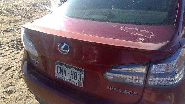 2010 Lexus HS250h Trunk/decklid/hatch/tailgate Red 3R1 — photo 12