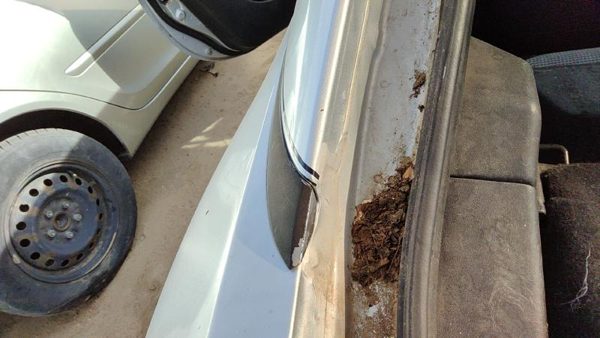 2000-2005 Mitsubishi Eclipse Driver Left Rear Moulding On Quarter Panel Oem — photo 3