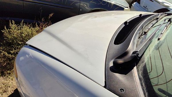 1998 Chrysler Town Cntry Hood Pwp Golden White Hail — photo 3