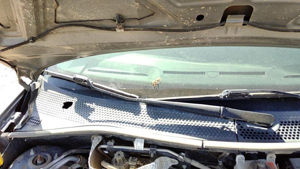 2006-2011 Ford Focus Passenger Right Windshield Wiper Arm Oem Blade Lever — photo 1