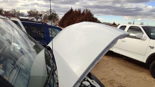 1985-1994 Gmc Safari Hood White 12543560 — photo 1