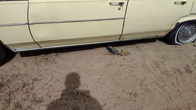 77-84 Cadillac Deville Driver Left Lower Rocker Panel Moulding Side Skirt Oem