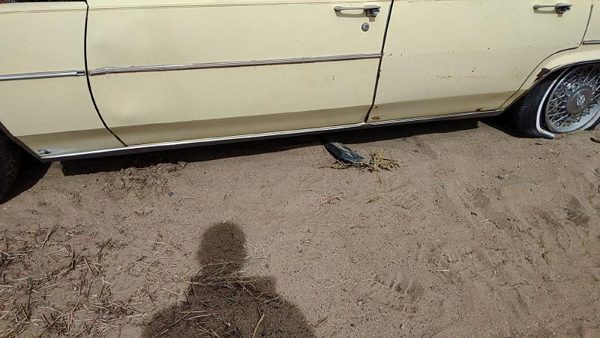 77-84 Cadillac Deville Driver Left Lower Rocker Panel Moulding Side Skirt Oem — photo 1