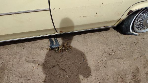 77-84 Cadillac Deville Driver Left Lower Rocker Panel Moulding Side Skirt Oem — photo 5