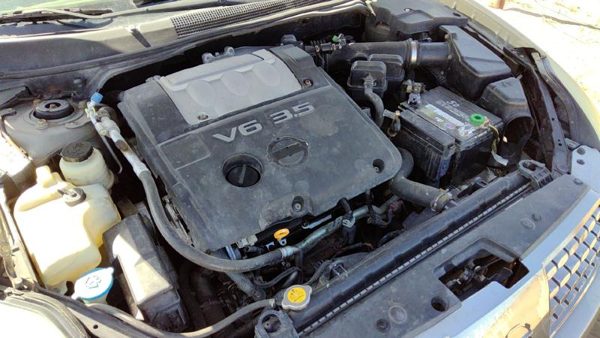 2004 Nissan Maxima — vehicle photo 2