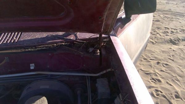 1981-1987 Isuzu Pup Pickup Driver Left Hood Hinge Assembly Oem Red 94217433 — photo 2