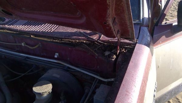 1981-1987 Isuzu Pup Pickup Driver Left Hood Hinge Assembly Oem Red 94217433 — photo 9