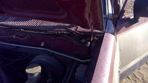 1981-1987 Isuzu Pup Pickup Driver Left Hood Hinge Assembly Oem Red 94217433 — photo 8