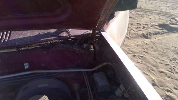 1981-1987 Isuzu Pup Pickup Driver Left Hood Hinge Assembly Oem Red 94217433 — photo 1