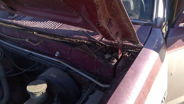 1981-1987 Isuzu Pup Pickup Driver Left Hood Hinge Assembly Oem Red 94217433 — photo 10