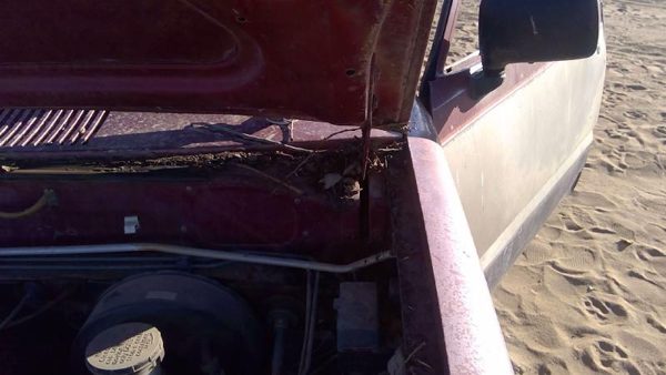 1981-1987 Isuzu Pup Pickup Driver Left Hood Hinge Assembly Oem Red 94217433 — photo 3