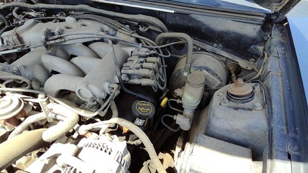 1999-2004 Ford Mustang Driver Left Valve Cover Oem 3.8L 1F2Z6582Aa — photo 1