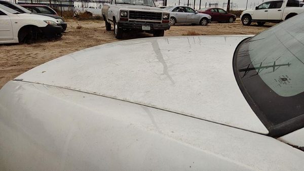 2000 Buick Park Avenue Trunk/decklid/hatch/tailgate White 78U Hail — photo 4