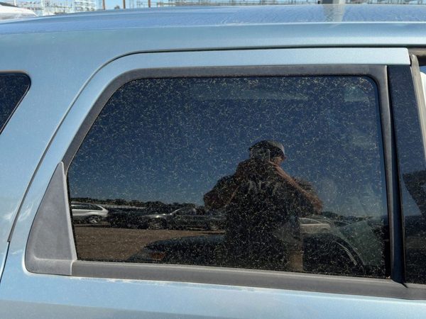 08-11 Mariner Passenger Right Rear Side Window Door Glass Oem Back Privacy Tint — photo 2