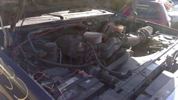1995 Ford Bronco — vehicle photo 3