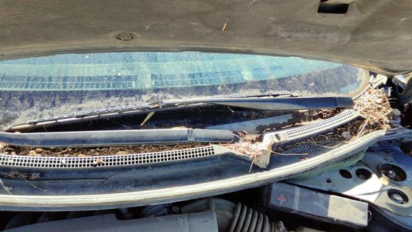 2007-2012 Nissan Altima Driver Left Windshield Wiper Arm Oem Blade Lever Hybrid — photo 2