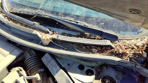 2007-2012 Nissan Altima Driver Left Windshield Wiper Arm Oem Blade Lever Hybrid — photo 1