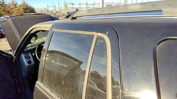 2008 Ford Expedition Rear Door LH Ua Black — photo 2