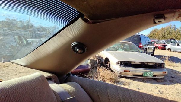 1993 Grand Prix Driver Left C Pillar Trim Panel Oem Tan Rt C Pillar Trim 2 Door — photo 1