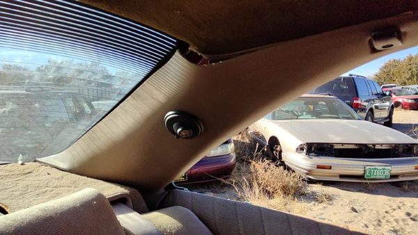 1993 Grand Prix Driver Left C Pillar Trim Panel Oem Tan Rt C Pillar Trim 2 Door — photo 4