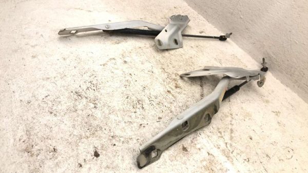10-18 Dodge Ram 4500 Pair Of Hood Hinges Right Left Set Assembly Oem White Pw7 — photo 4