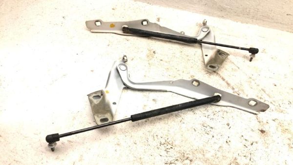 10-18 Dodge Ram 4500 Pair Of Hood Hinges Right Left Set Assembly Oem White Pw7 — photo 10