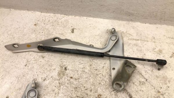 10-18 Dodge Ram 4500 Pair Of Hood Hinges Right Left Set Assembly Oem White Pw7 — photo 12