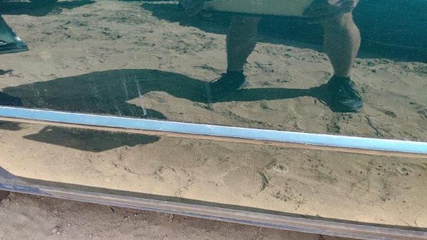 98-04 Cadillac Seville Driver Left Rear Moulding From Door Back Trim Strip Green — photo 4