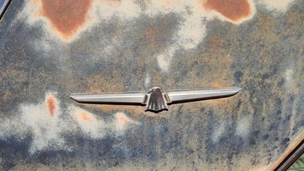 1964 Ford Thunderbird Coupe Passenger Right Side Emblem Badge Oem — photo 3