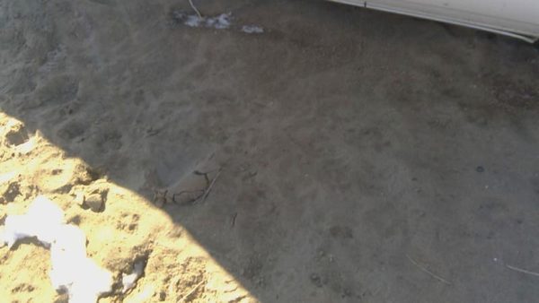 1978 Buick Regal Front Door RH White — photo 7