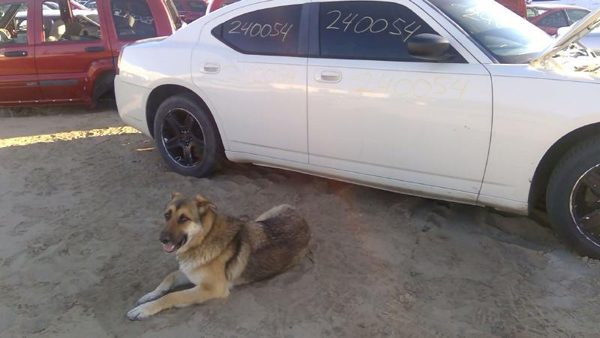 2008 Dodge Charger — vehicle photo 9