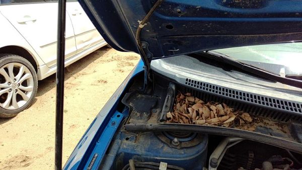 2009-2013 Toyota Corolla Passenger Right Hood Hinge Assembly Oem Blue 8T7 — photo 2