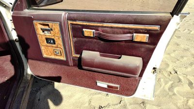 1989 Buick Century Passenger Right Front Inside Door Trim Panel Only Oem Red
