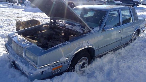 1989 Chrysler New — vehicle photo 3