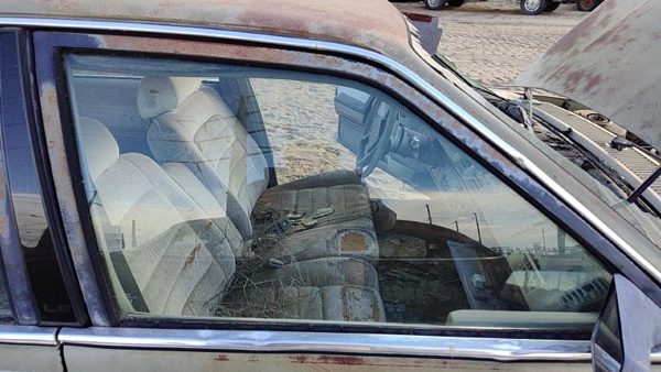 1982-1989 Pontiac 6000 Passenger Right Front Side Window Door Glass Oem 20243886 — photo 2