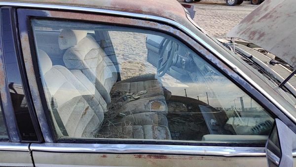 1982-1989 Pontiac 6000 Passenger Right Front Side Window Door Glass Oem 20243886 — photo 1