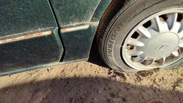 96-99 Olds 88 Passenger Right Moulding From Fender Oem Trim Strip Green — photo 6