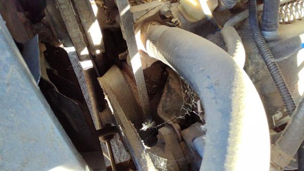1984 Cadillac Deville Power Steering Pump/motor 4.1L — photo 2