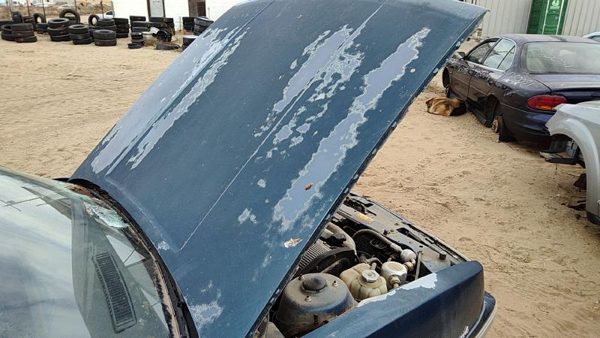 1989 Olds Calais Hood Blue — photo 2