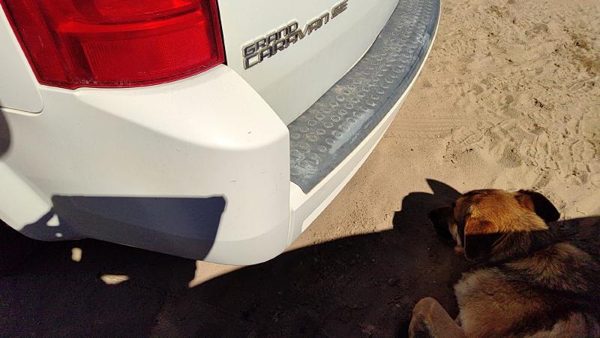 2008-2010 Dodge Grand Caravan Rear Bumper Cover Assembly Oem Back White Pw1 — photo 6