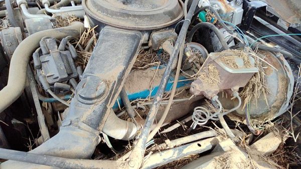 1980-1984 Cadillac Deville Driver Left Cylinder Head Assembly Oem 368 6.0L — photo 2