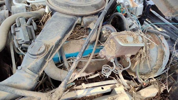 1980-1984 Cadillac Deville Driver Left Cylinder Head Assembly Oem 368 6.0L — photo 3
