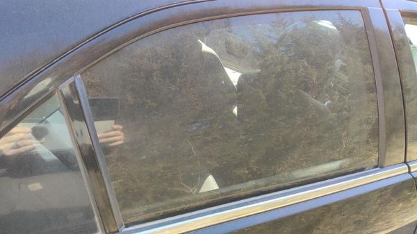 2006-2012 Ford Fusion Passenger Right Rear Side Window Door Glass Oem Back — photo 1
